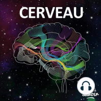 Comment le cerveau extrait-il une voix du bruit ambiant ?