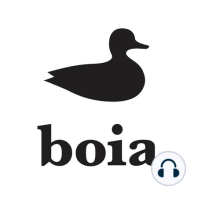 Boia 107