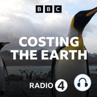 Earthshot: Fresh Ideas For the Environment