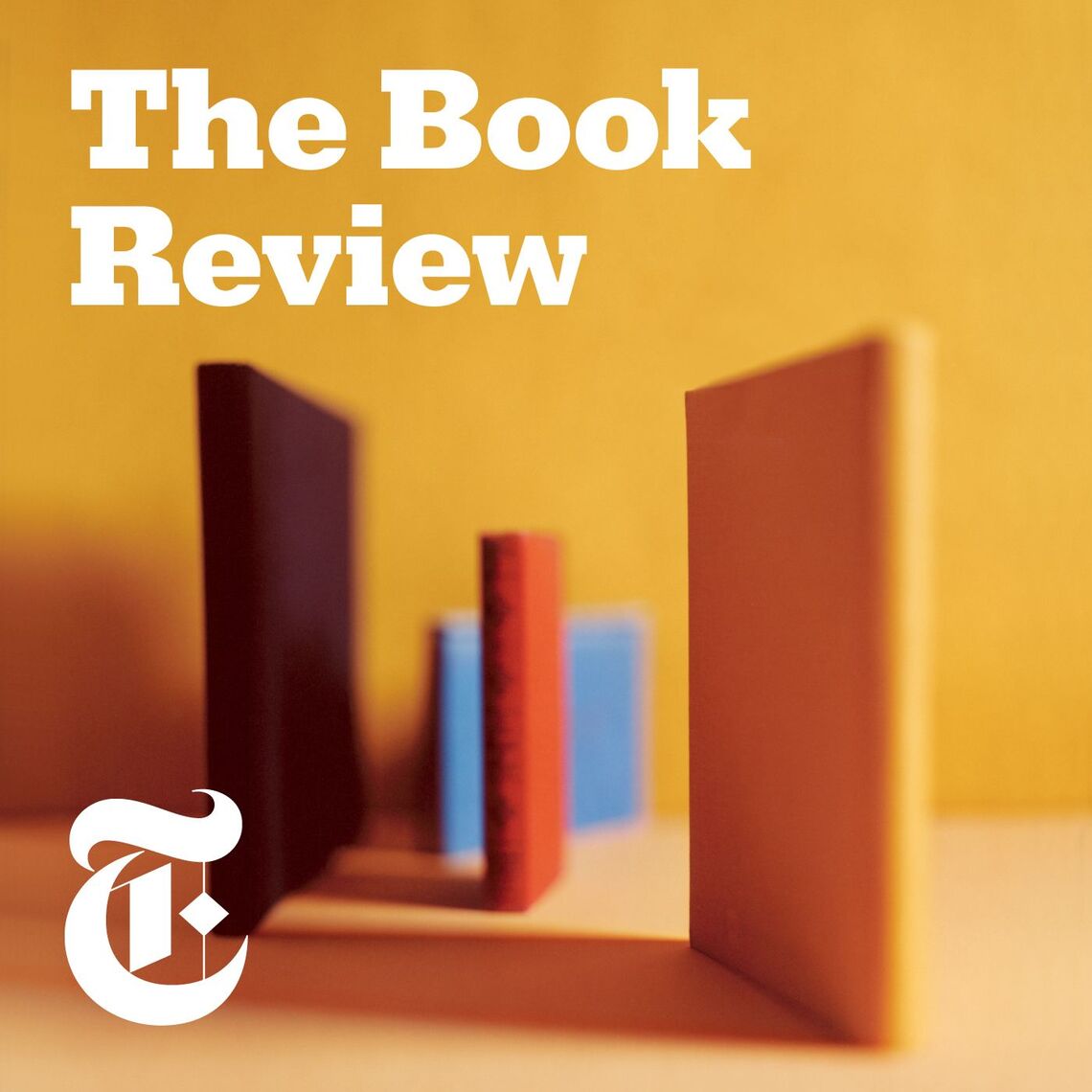 Andrea Elliott on ‘Invisible Child’ | The Book Review Podcast