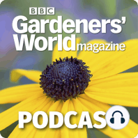 Trevor Nelson on making a garden for sharing