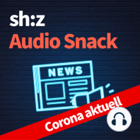 17.11. SH beschließt massive Verschärfung der Corona-Regeln: Täglich regionale News zum Hören