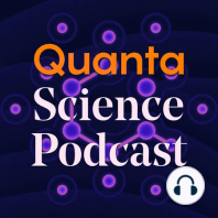 The Brain Processes Speech in Parallel With Other Sounds