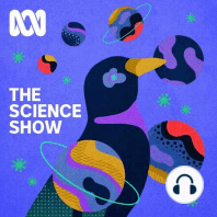 Science Extra: Climate compromise, slime in the city and do fish feel pain?