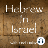 Hebrew In Israel | Torah Portion Shoftim – Learn Torah
