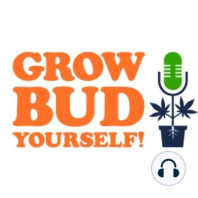 Grow Bud Yourself Episode 21