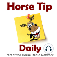 Horse Tip Daily #85 – Debbie McDonald on Sensitivity Off the Leg