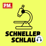 Wie sah Deutschland vor 50 Millionen Jahren aus?