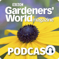 Gardening to boost your wellbeing - with Dr Amir Khan