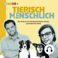 51 - Wenn Nachrichten Angst machen