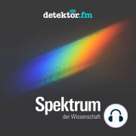 Quantenphysik, Biomedizin, Kampf der Tiere – Der Spektrum-Podcast