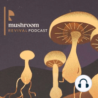 Mycoremediation and Mushrooms in Mexico with Daniel Reyes