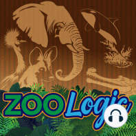 EATM: America's first college zookeeping program