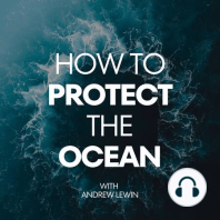 SUFB 213: 4 Steps To Help The Ocean