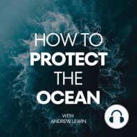 SUFB 284: Managing People To Protect The Oceans With Dr Edd Hind Ozan