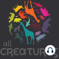 All Creatures Kids Episode 17: Red Ruffed Lemurs