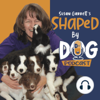 What Is Shaping and How Can Dogs Shape Us #5