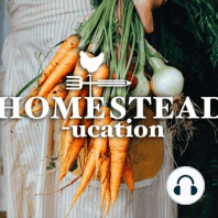 What is a Homestead?