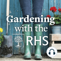 Episode 9: Gardening for all the family, summer flower arrangements, GYO tips, and seasonal advice from Wisley