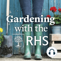 Episode 35: A focus on the RHS Hampton Court Palace Flower Show 2014