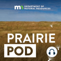 Prairie's importance as a mental health refuge