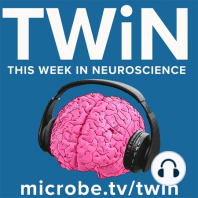 TWiN 15: Microbiome and neurodevelopment with Helen Vuong