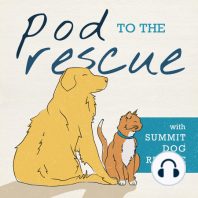 Compassion Fatigue in Shelter and Rescue Workers with Laura Henderson