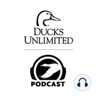 Ep. 98 – Waterfowl Settling and Nesting