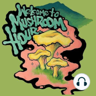 Ep. 9: Wild Kingdom - Medicinal Mushrooms, Regenerative Foraging and Spiritual Connection (feat. Neil Thenier)