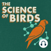 Solving Bird Mysteries with Forensic Ornithology