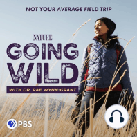 Introducing: Going Wild with Dr. Rae Wynn-Grant
