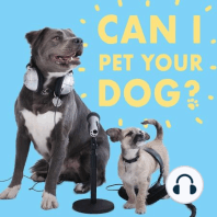 CIPYD 27: Dog v. Cat with Jordan Morris