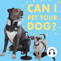 CIPYD 173: Cute Head Tilts and Dog Meeting Etiquette