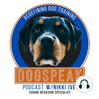 Mini Episode: Dealing with Picky Dogs