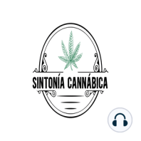 Episodio 4 - Uso problemático del cannabis