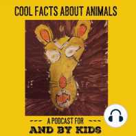Bonus! 20 Cool Facts About Animals