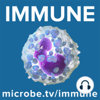 Immune 1: Some like it hot