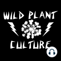 Episode 013 - Dr. Jay Kelly - Restoring Rare Plants