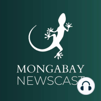 Mongabay Reports:  ‘Extinction denial’ is the latest anti-science conspiracy theory