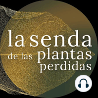 Intermedio: pandemias, plantas & podcasts vegetófilos {La Senda de las Plantas Perdidas}