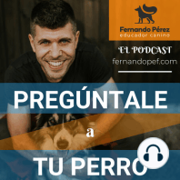 Episodio 191 - Cómo querer bien a tu perro