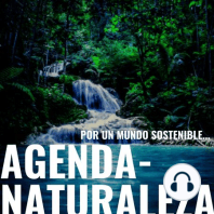 Agenda Naturaleza 91. Pilas biodegradables.