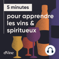 Episode 28 - Le Vignoble de Savennières