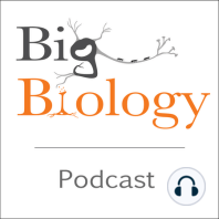 Ep 4: The Science and Politics of Basic Biology