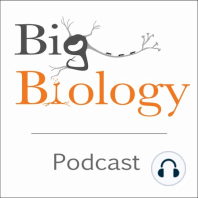 Ep 12: Containing Cancer with Squirrel Ecology