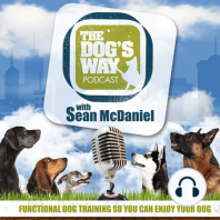 SESSION 7: How to introduce a new puppy into your home when you already have an existing dog. And, Sean goes through some of the problem solving in a question from an email when a dog has shown aggression.