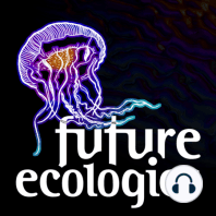 Sojourning: the music of Future Ecologies Season 3