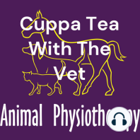 Cuppa Tea with The Vet with Jo Headley of Sunninghill vets