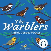 Minisode: Tips for Attracting Birds to YOUR Garden - wherever you are in Canada