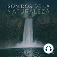 RELAJACIÓN Sesión de música y sonidos para MEDITAR Y RELAJARSE